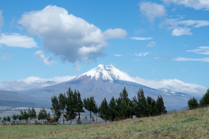 a field with a mountain in the background