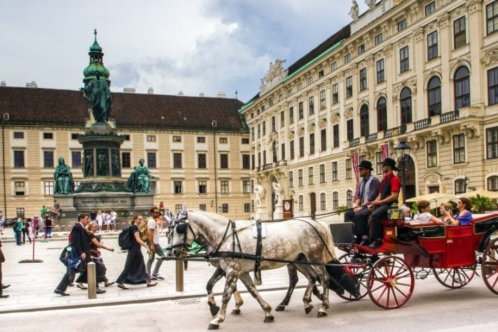 a man riding a horse drawn carriage on Hofburg street