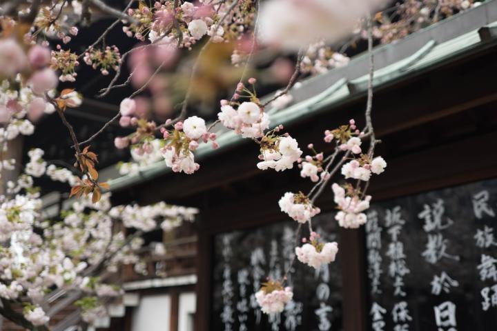 a vase filled with purple flowers
